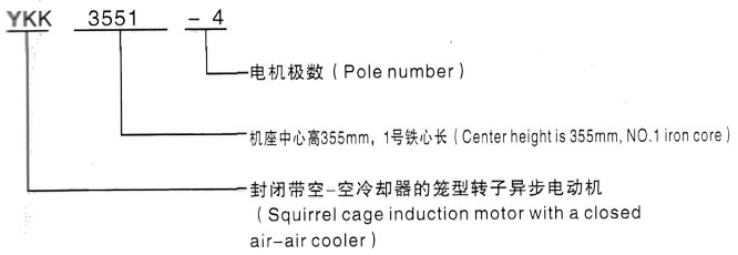 YKK系列(H355-1000)高压YE2-225M-8三相异步电机西安泰富西玛电机型号说明