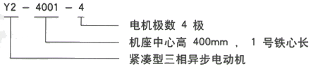 YR系列(H355-1000)高压YE2-225M-8三相异步电机西安西玛电机型号说明